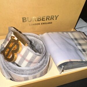 Fashion Designed Gray and Gold Belt